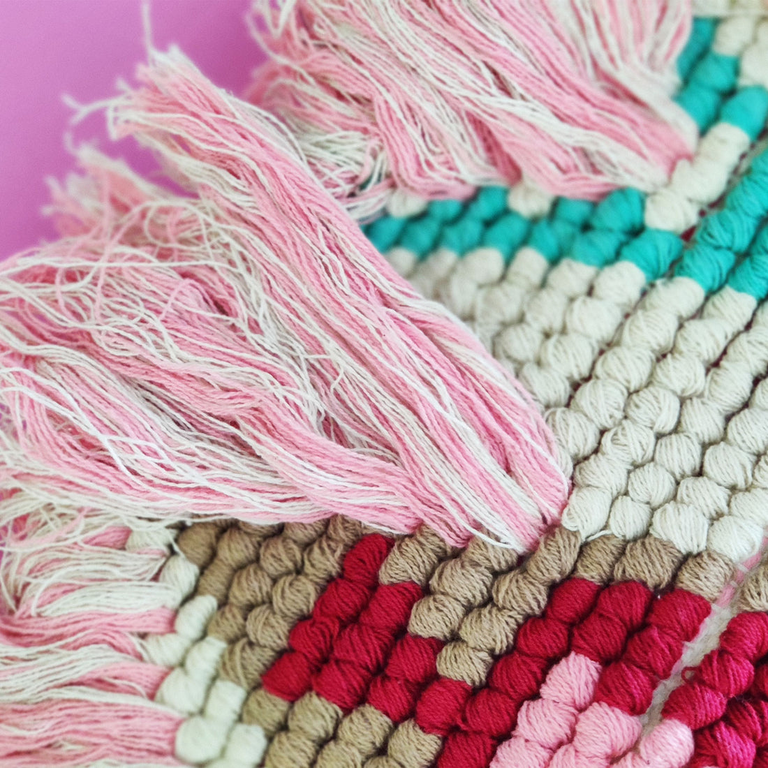 Tassle Pink Planter Gift Set