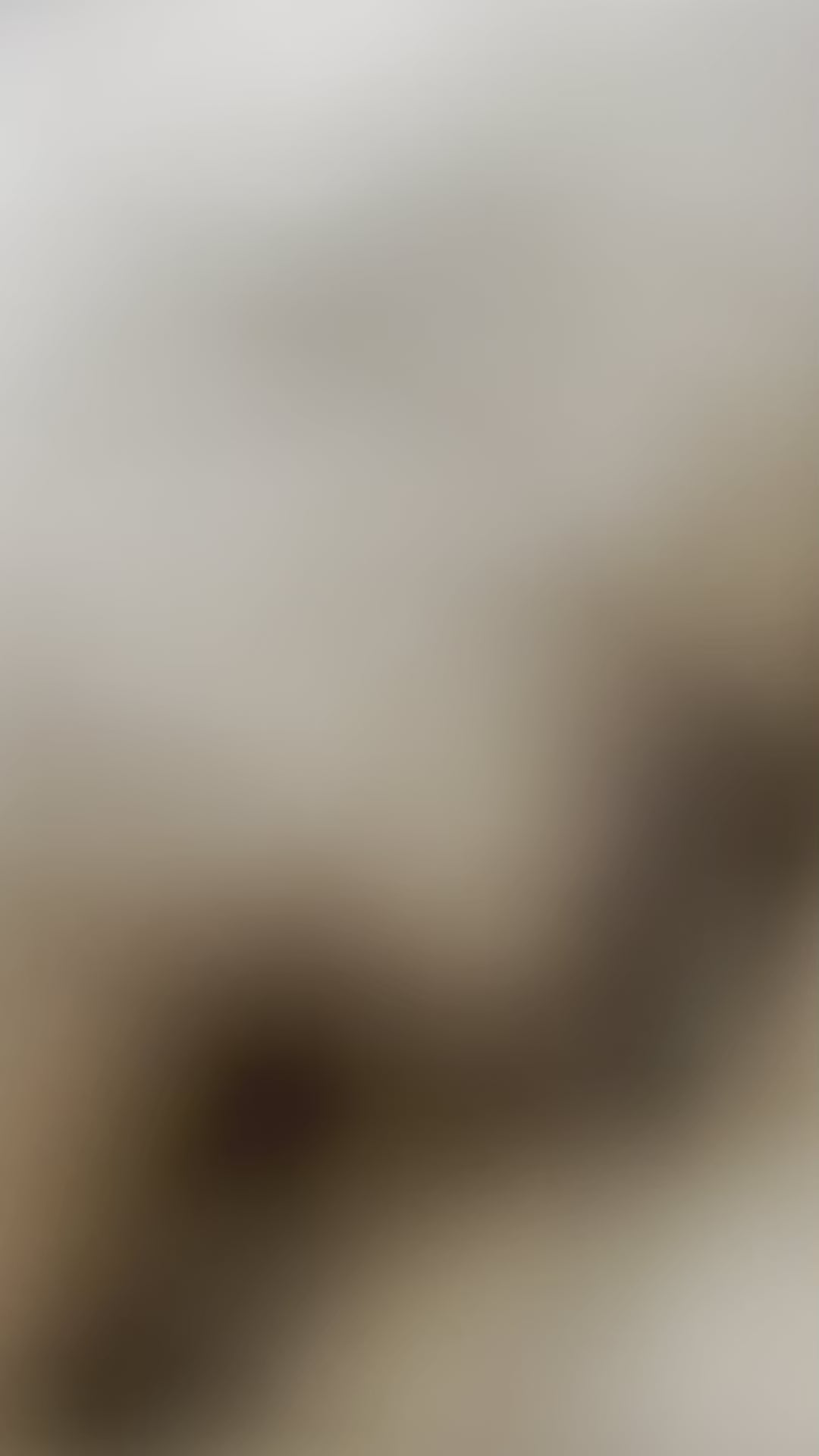 White & Black Elegant Cotton Cushion Cover - 20 x 20 inches