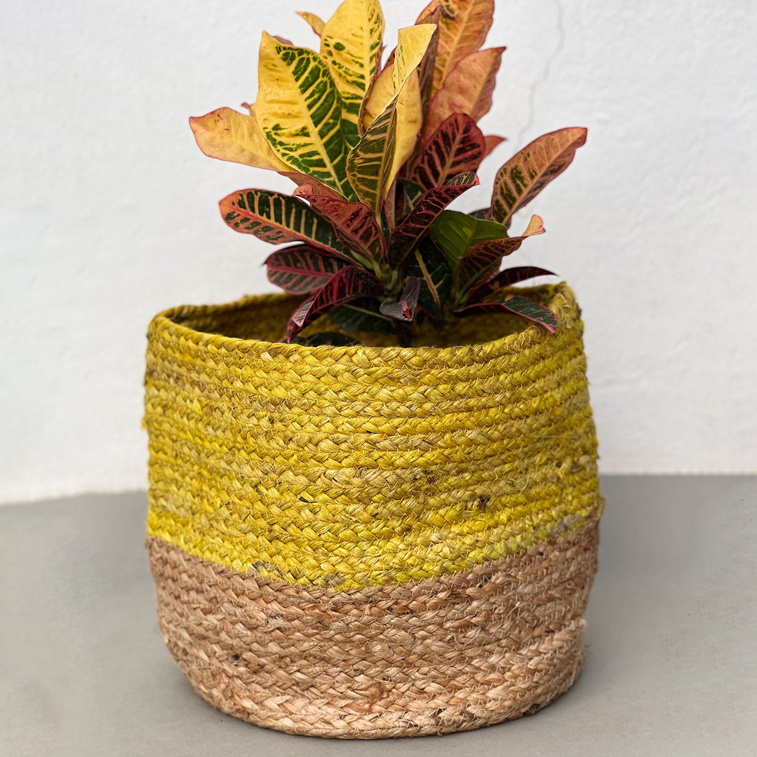 Mustard Bamboo Planter