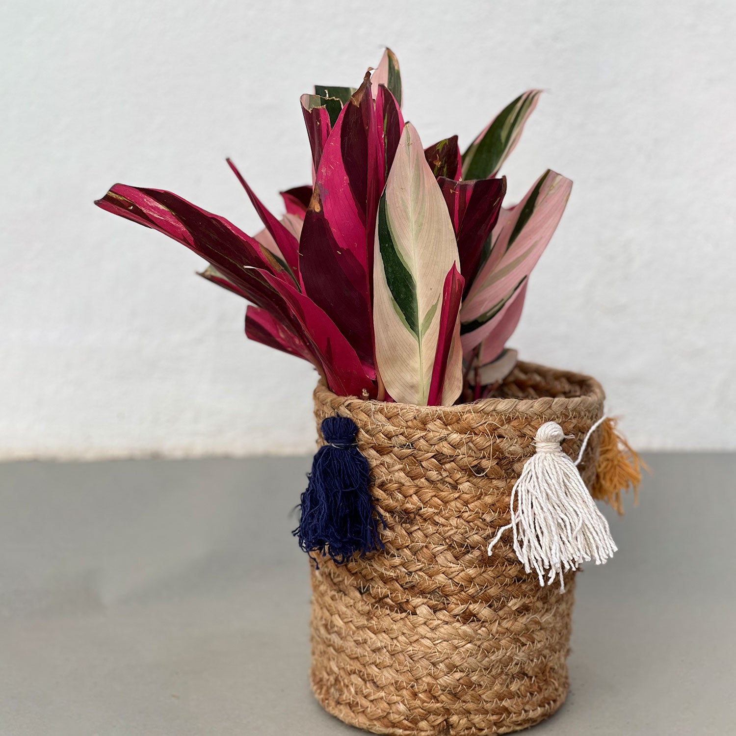 Jute Planter with Tassels