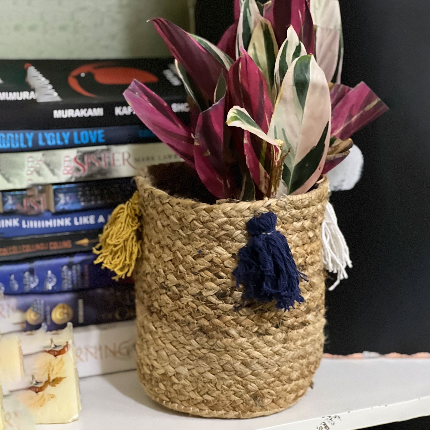Jute Planter with Tassels