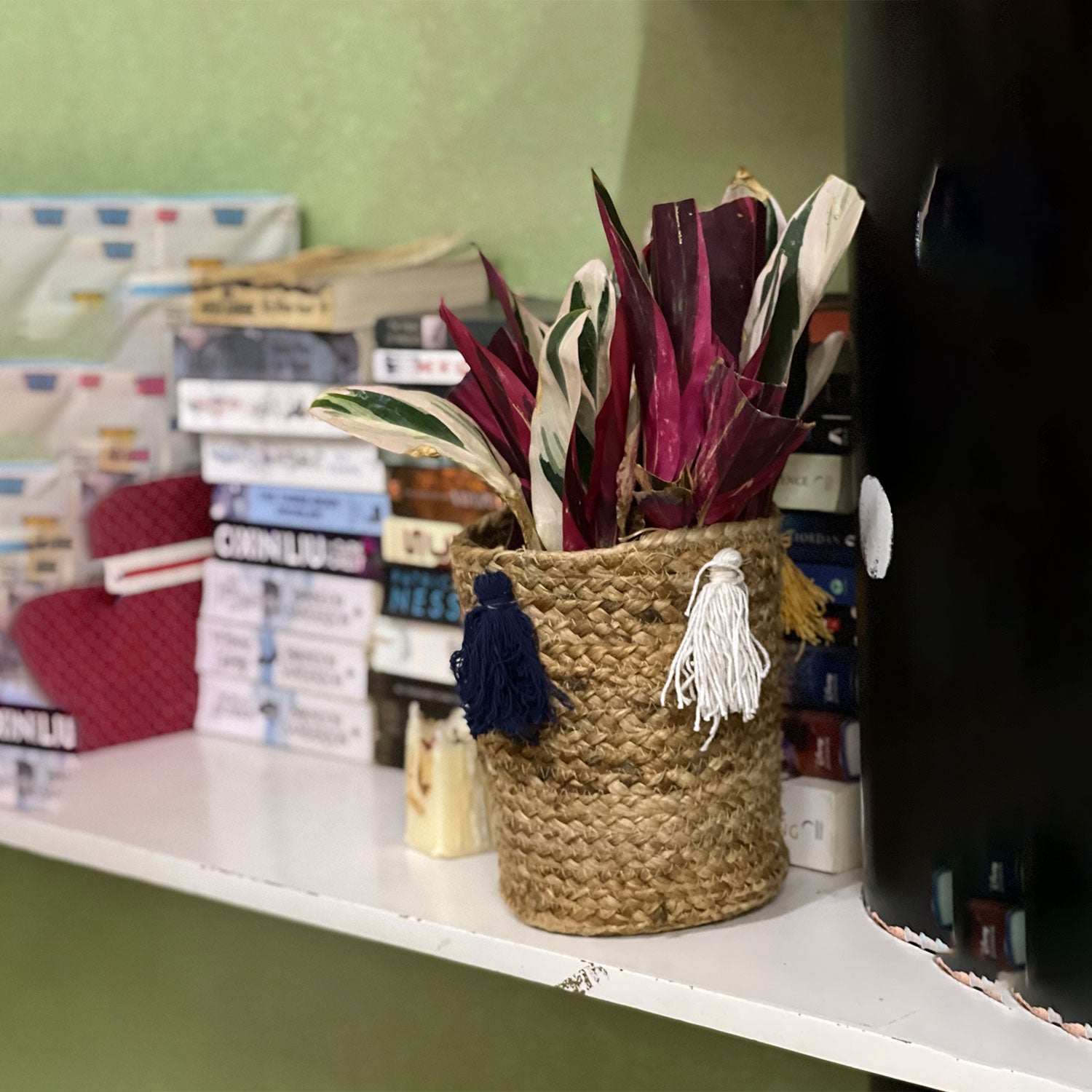 Jute Planter with Tassels