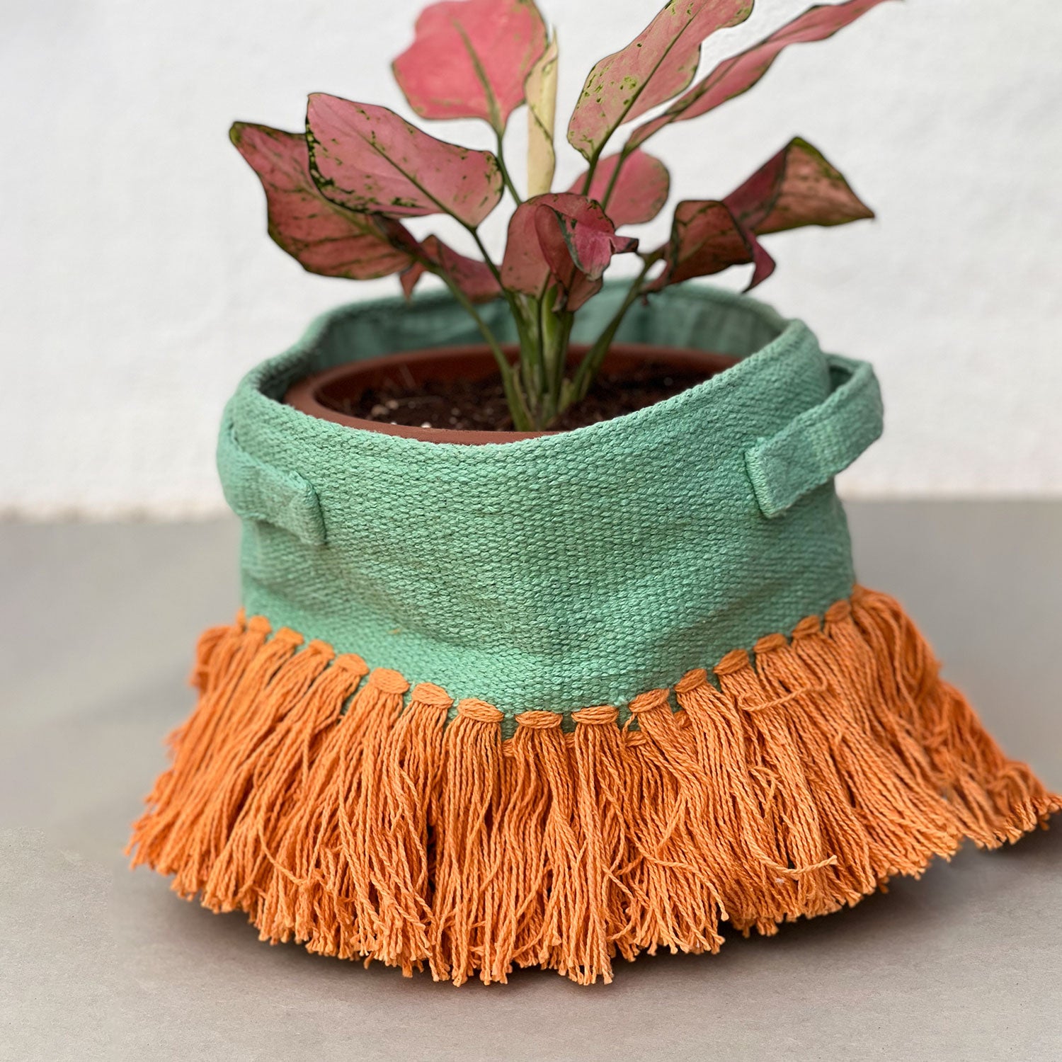 Green and Orange Peppy planter