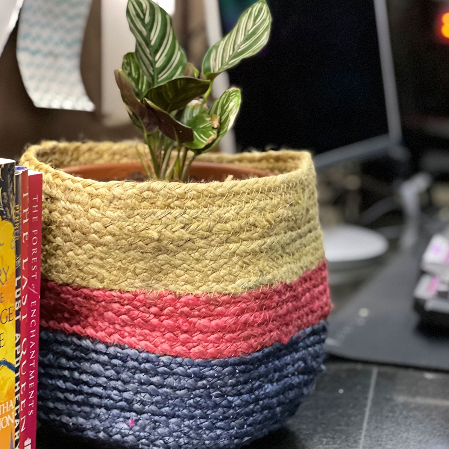Three Colors Jute Planter